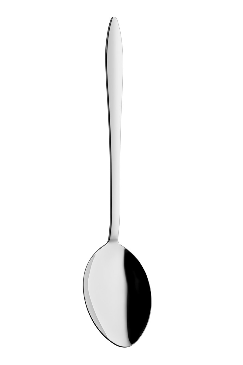 Ares Serving Spoon